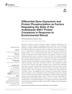 Differential Gene Expression and Protein Phosphorylation as