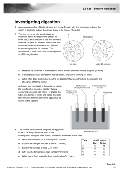 logcsscibap_2_4_3_c_..