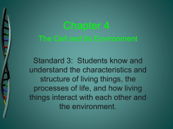 Chapter 4