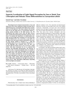 Separate Localization of Light Signal Perception for Sun or Shade