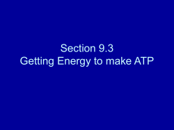 Section 9.3 Getting Energy to make ATP