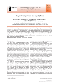Fungal Diversity of Maize (Zea Mays L.) Grains