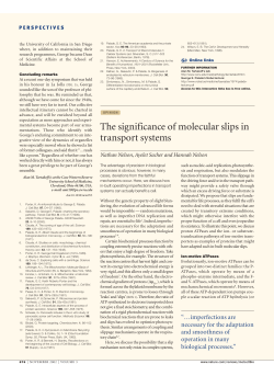 The significance of molecular slips in transport systems