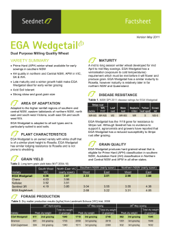 EGA Wedgetail Fact Sheet