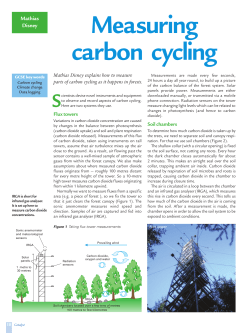 Measuring carbon cycling
