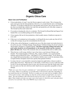 Organic Citrus Care - Buchanan`s Native Plants