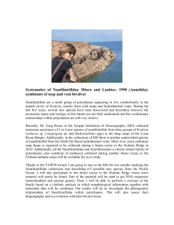 Background info