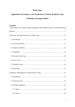 Microsoft word 1.2 MB