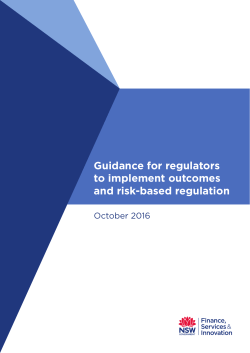 Guidance for regulators to implement outcomes and risk‑based