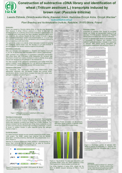 Construction of subtractive cDNA library and identification of