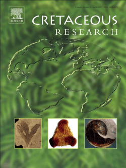 High resolution estimates of paleo