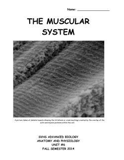 Unit #6 Direction Sheet - Sonoma Valley High School
