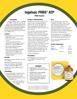 Ingelvac PRRS&reg; ATP