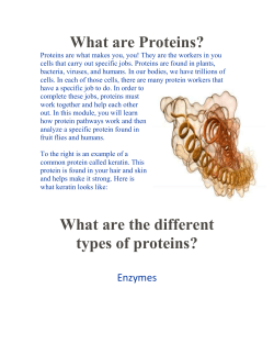 Protein Introduction