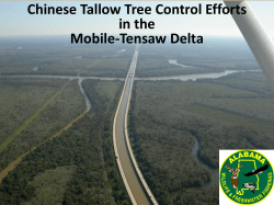 Chinese Tallow Tree Control Efforts in the Mobile - SE-EPPC