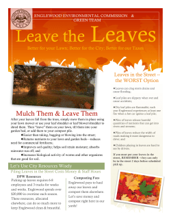 Leave the Leaves - City of Englewood, NJ