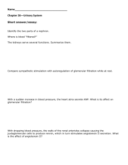 Practice Questions for Exam 4