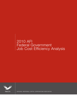 2010 AFI Job Cost Efficiency Analysis