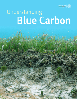 Blue carbon - Cambio Climático, CONANP