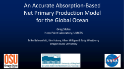 An Accurate Absorption-Based Net Primary Production Model for the