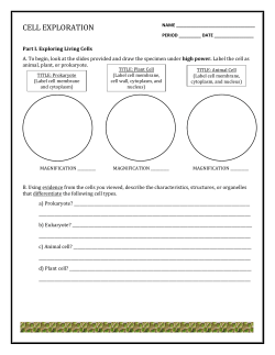 NAME PERIOD ______ DATE CELL EXPLORATION Part I