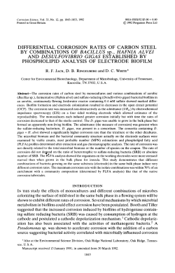 DIFFERENTIAL CORROSION RATES OF CARBON STEEL BY