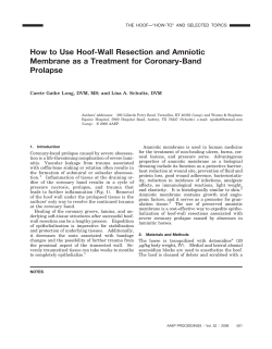 How to Use Hoof-Wall Resection and Amniotic Membrane