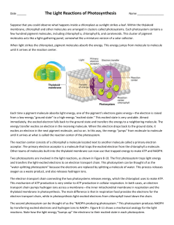 The Light Reactions of Photosynthesis
