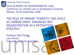 The Role of Marine Forests and Soils as Carbon Sinks