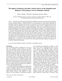 The impact of mannose and other carbon sources on the elongation