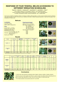 atonik plant growth stimulator: effect on different melon varieties