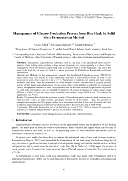 Management of Glucose Production Process from Rice