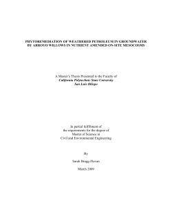 Phytoremediation of Weathered Petroleum in Groundwater by