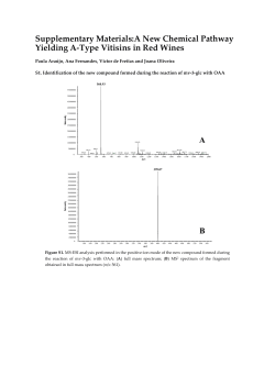 PDF-Document