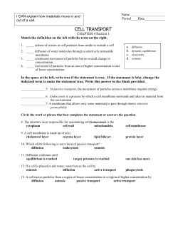 cell_transport_review