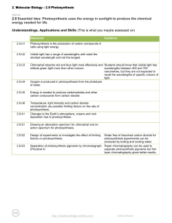2.9 Photosynthesis