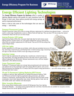 DTE Energy Efficiency Program For Business Lighting Fact Sheet