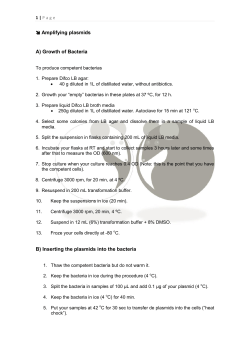 Amplifying plasmids A) Growth of Bacteria B) Inserting the plasmids