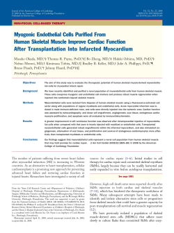 Myogenic Endothelial Cells Purified From Human Skeletal Muscle