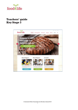Teachers` guide Key Stage 3