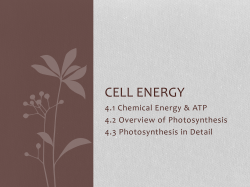 Cell Energy
