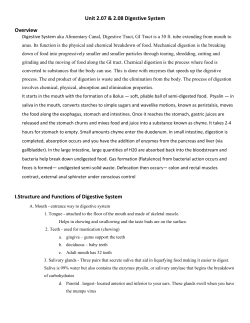 I.Structure and Functions of Digestive System