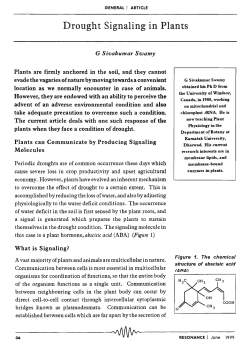 Drought Signaling in Plants