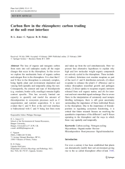 Carbon flow in the rhizosphere: carbon trading at the soil–root