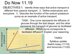 Active Transport PP