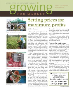 Setting prices for maximum prots