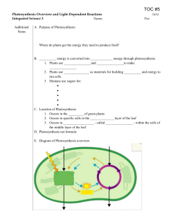TOC #5 Photosynthesis Overview and Light