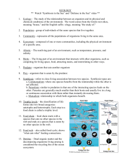 nitrogen and carbon cycles