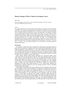 Remote Sensing of Water Content in Eucalyptus Leaves