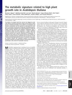 The metabolic signature related to high plant growth rate